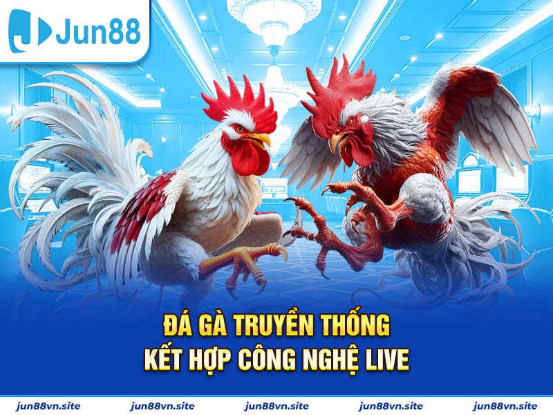 Xem đá gà trực tuyến và cá cược liền tay